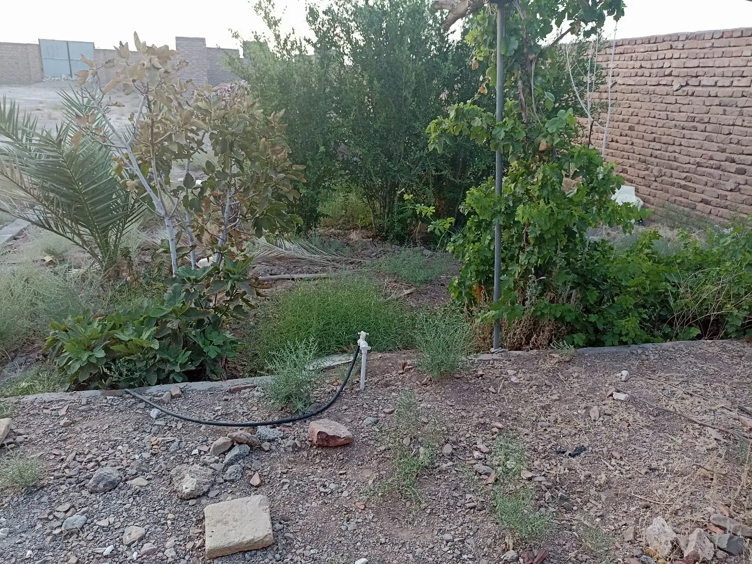 فروش زمین کشاورزی با قیمتی فوق العاده
