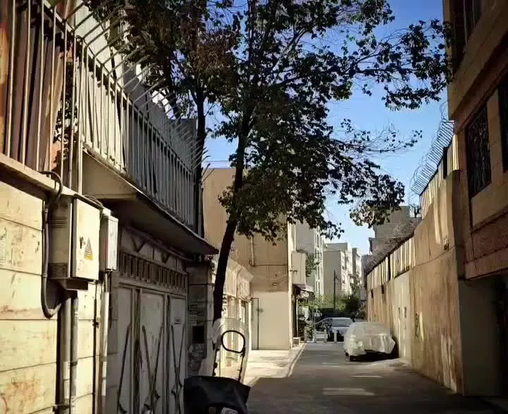 ملک کلنگی اکازیون