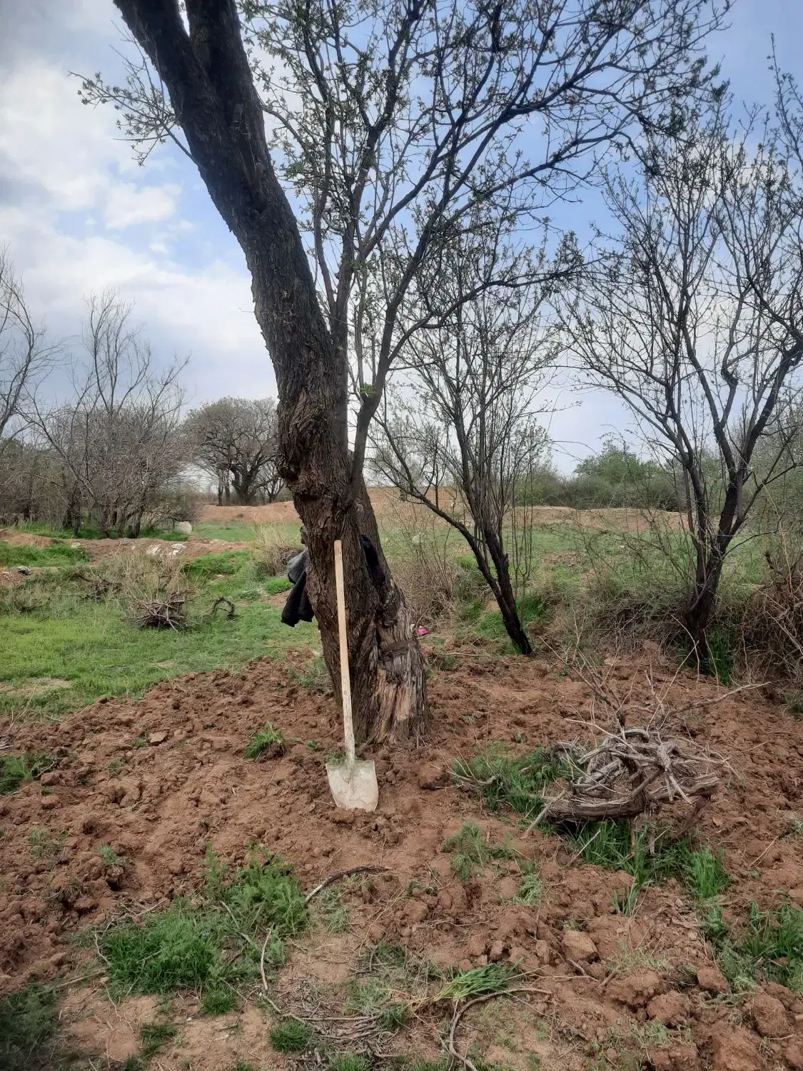 ۳۹۰مترباغ سنتی