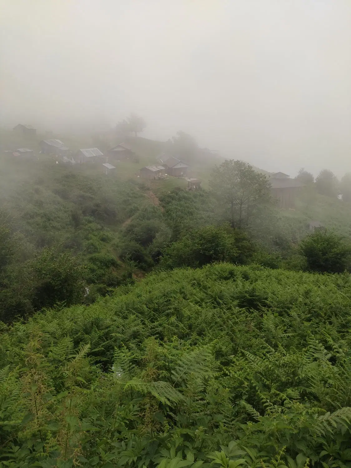 زمین باغی اول جاده میقان ،رو به روی تالار ونوس