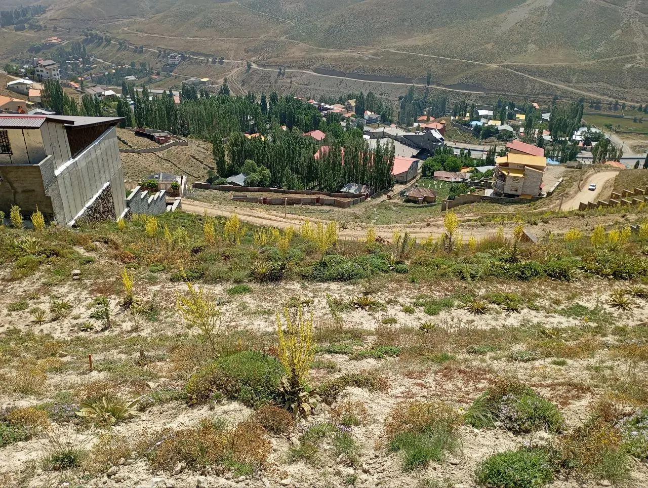 فروش زمین در پلور