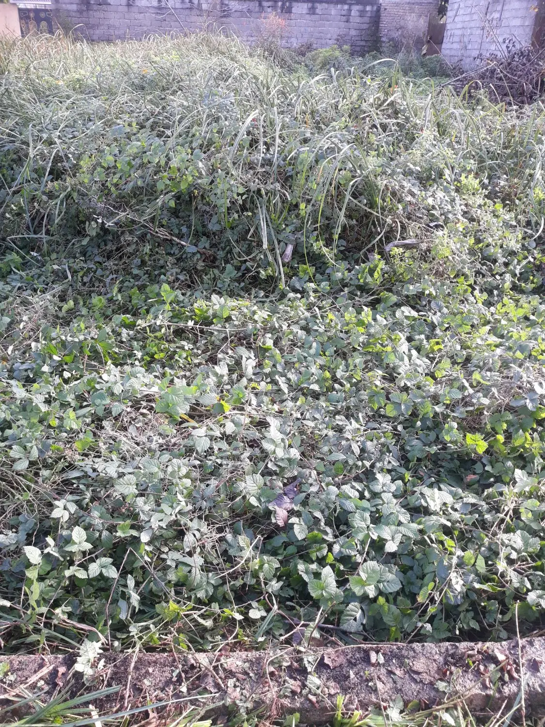 فروش زمین با کاربری مسکونی