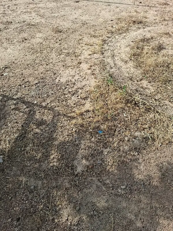 زمین 180 متری نمره 2