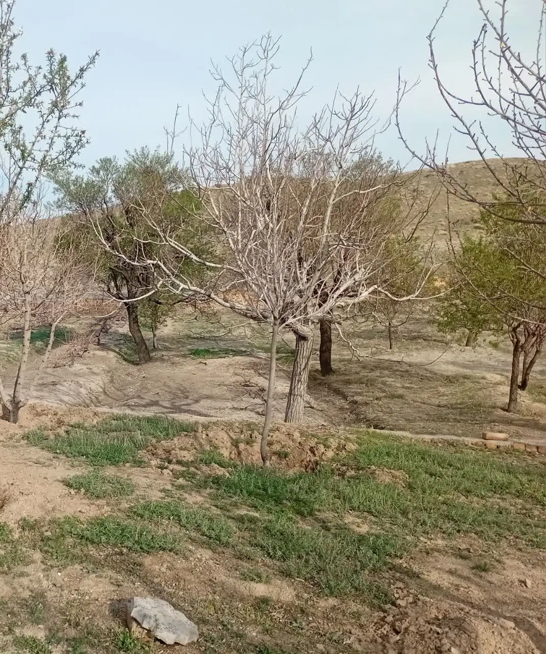 یه تیکه زمین به متراژ۳۰۰۰متربانیم ساعت آب ۶اینچ