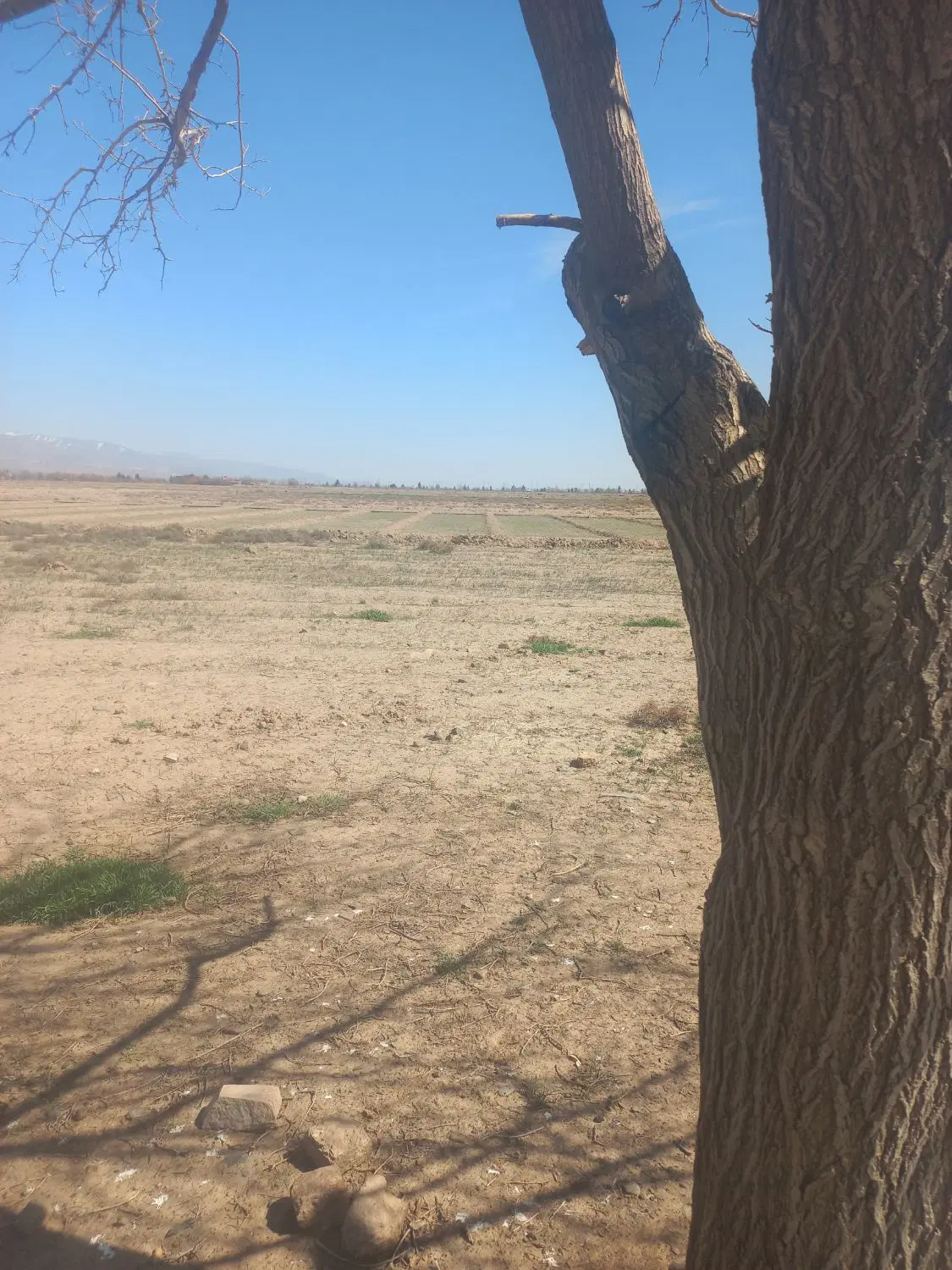 زمین پشت بیمارستان حکیم