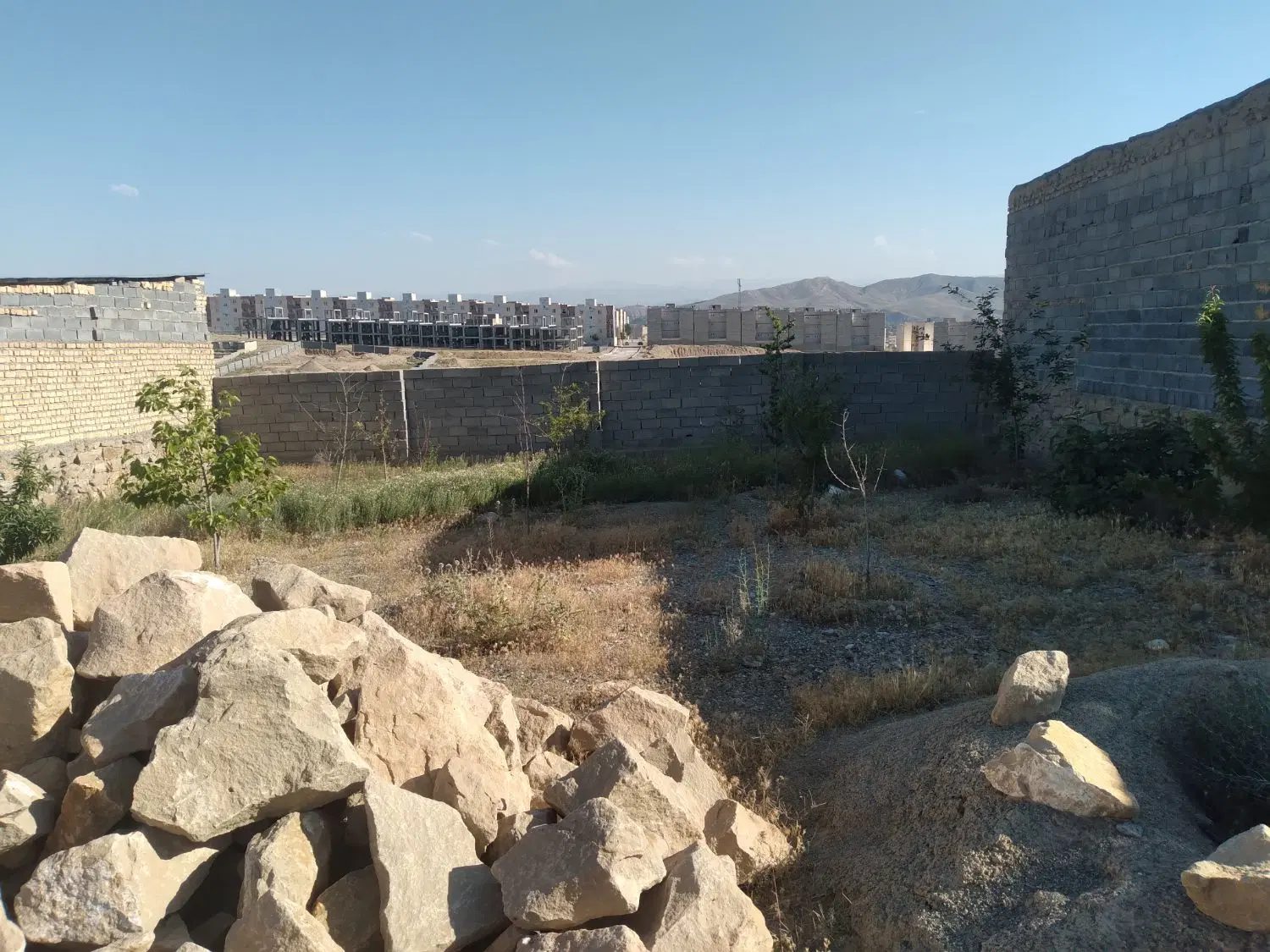 زمین دامداری