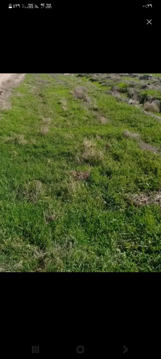 زمین کفگک بعد مسجد