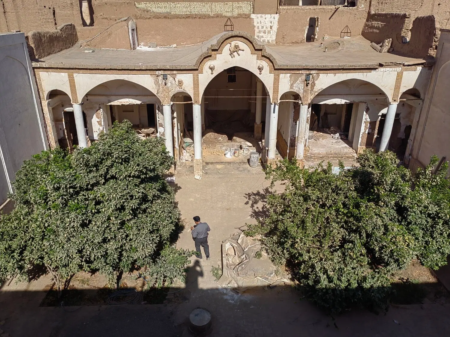 نیاز به همخونه