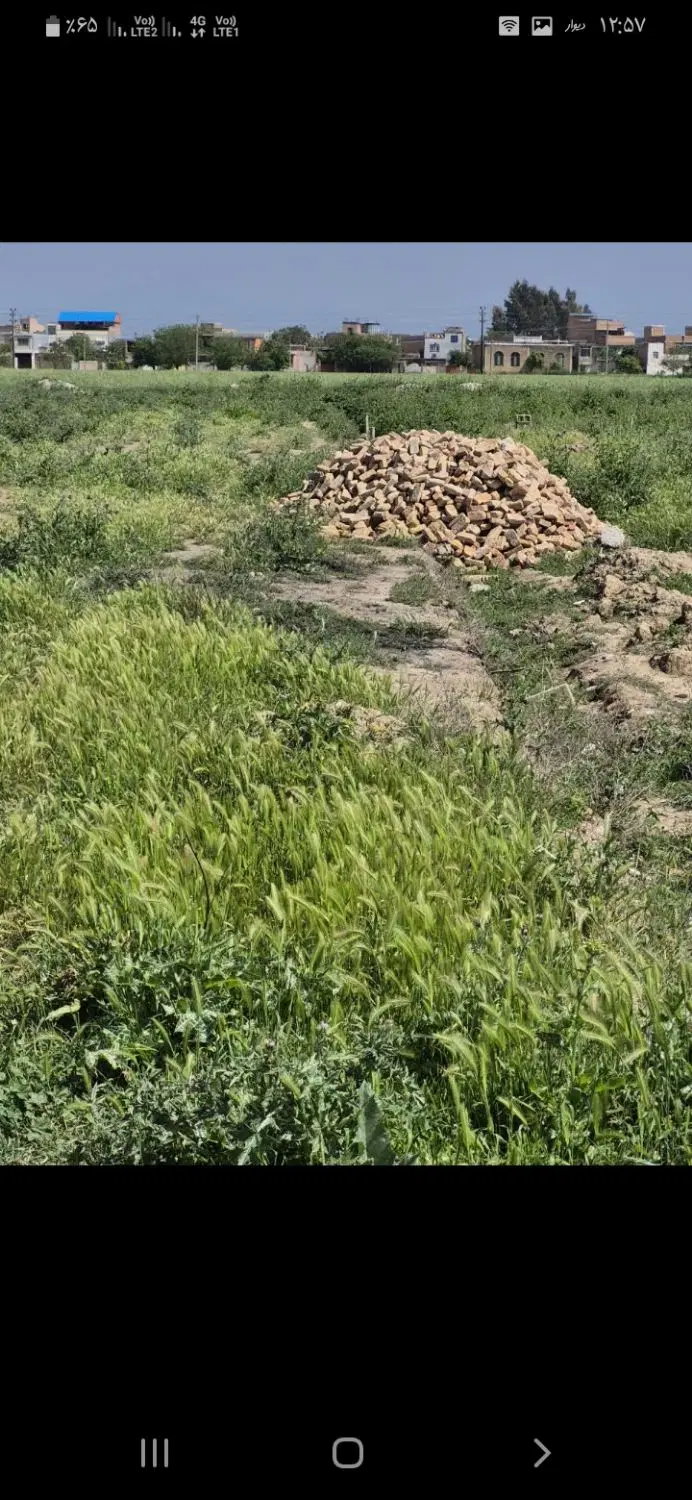 زمین گنبد۱۸۱متر