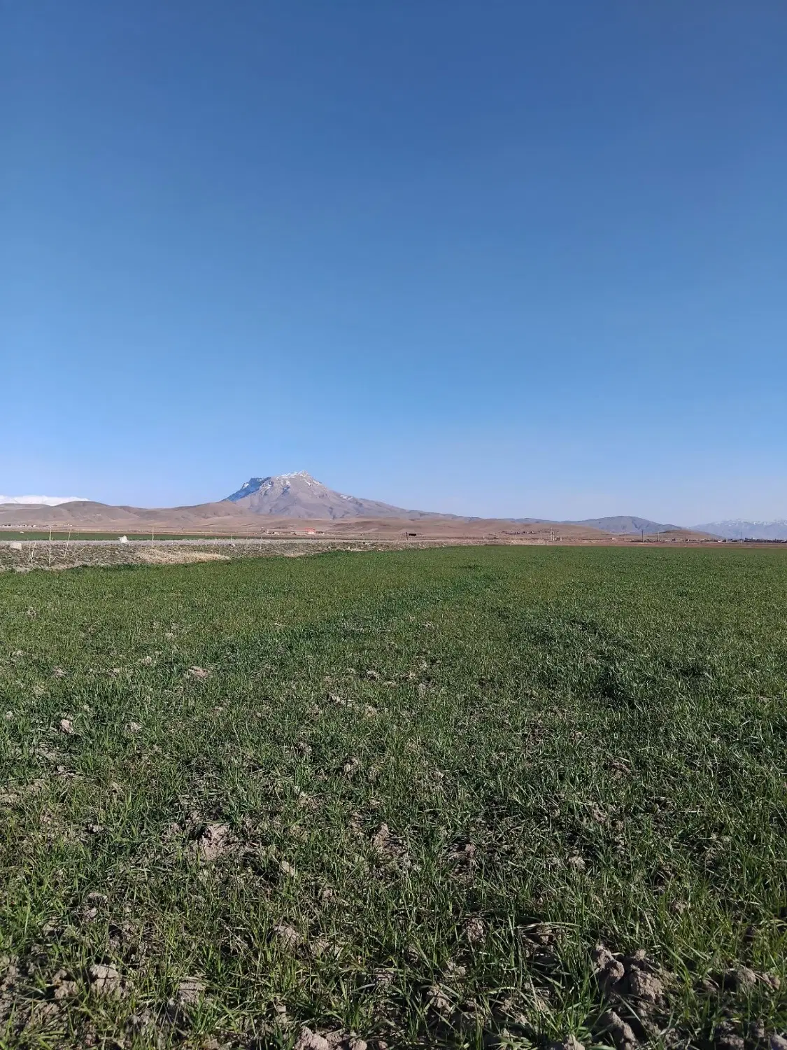 فروش زمین کشاورزی آبی