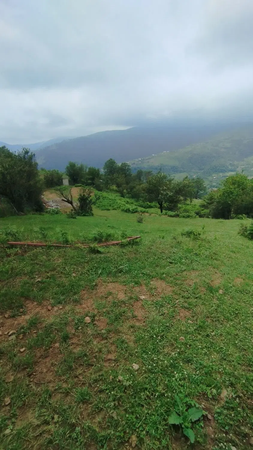 ۲۵۰۰ متر زمین در ییلاق