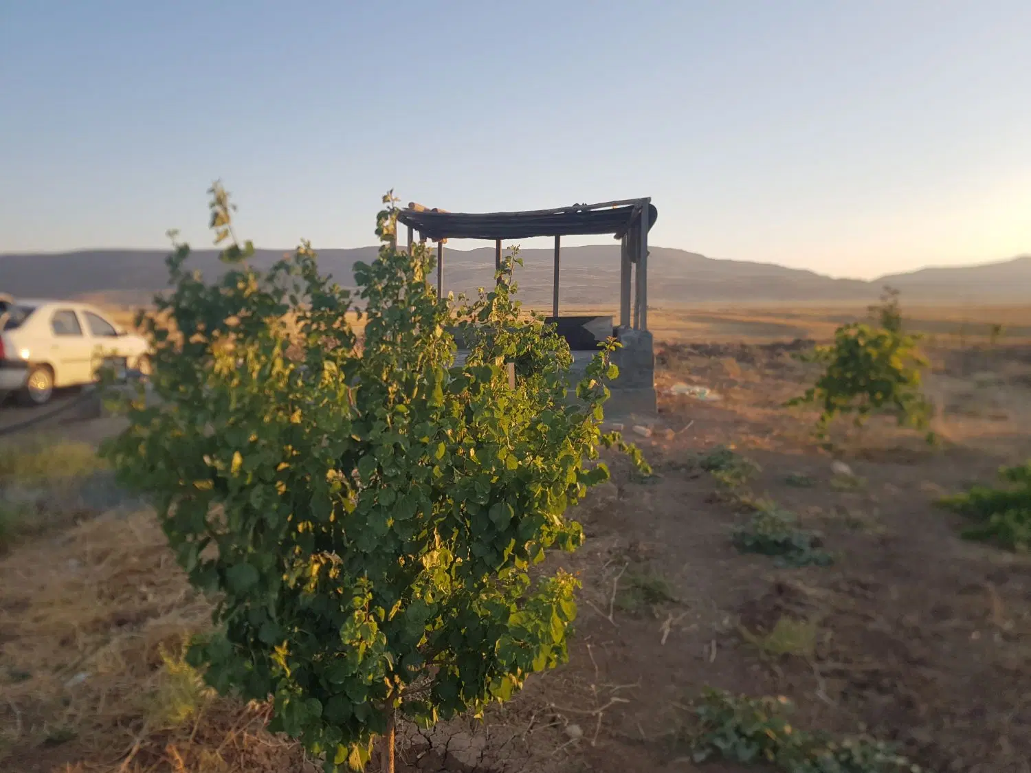 زمین باغ و کشاورزی ۳۵۰۰ متر مربع با استخر