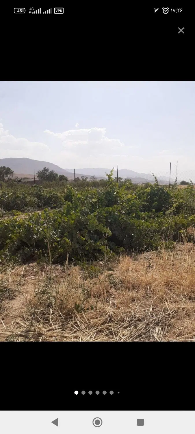 باغ ۳۰۰۰ متری انگور و پسته، ساوه، دشت لویین