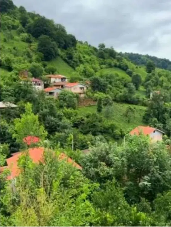 ۲۹۱متر زمین کفی در بلندی روستای برند کتشال