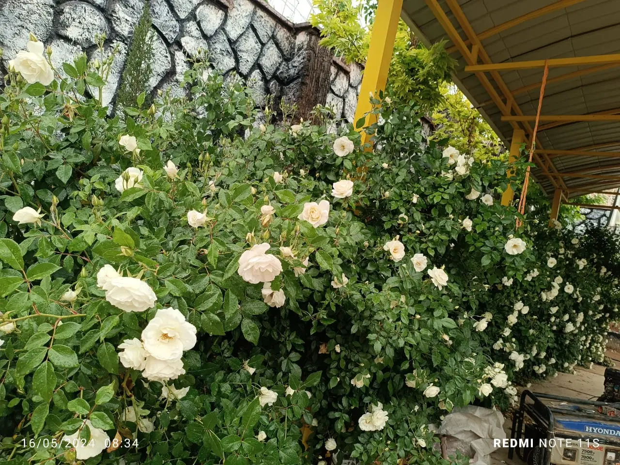 رهن و اجاره تجاری عرض ۱۶