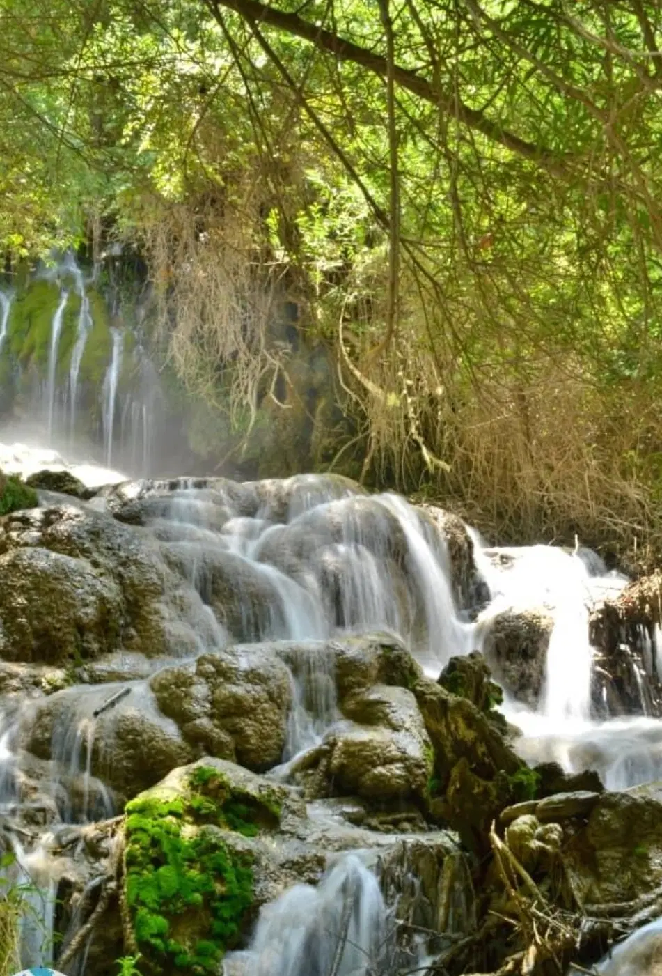 زمین کوهمره سرخی