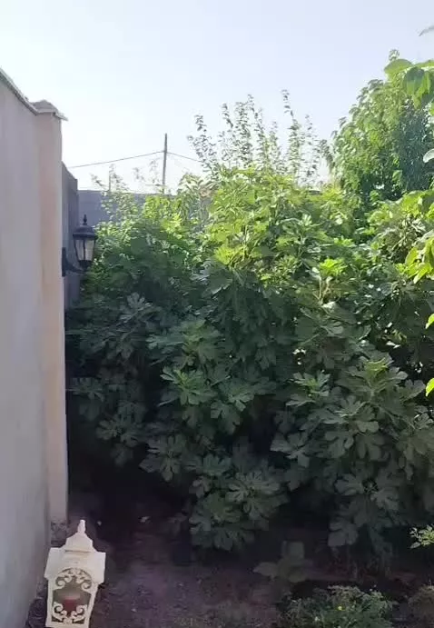 فروش ویلا و باغ