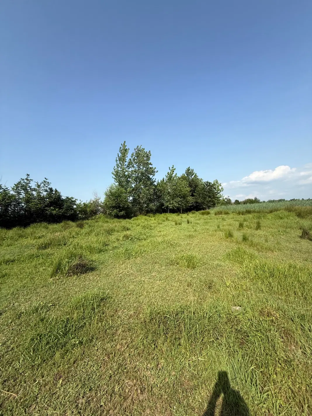 زمین با بنای کلنگی