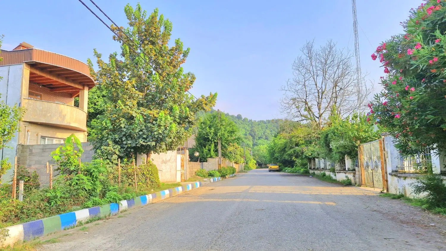 زمین آماده ساخت با سند تک برگ منظره سرسبز
