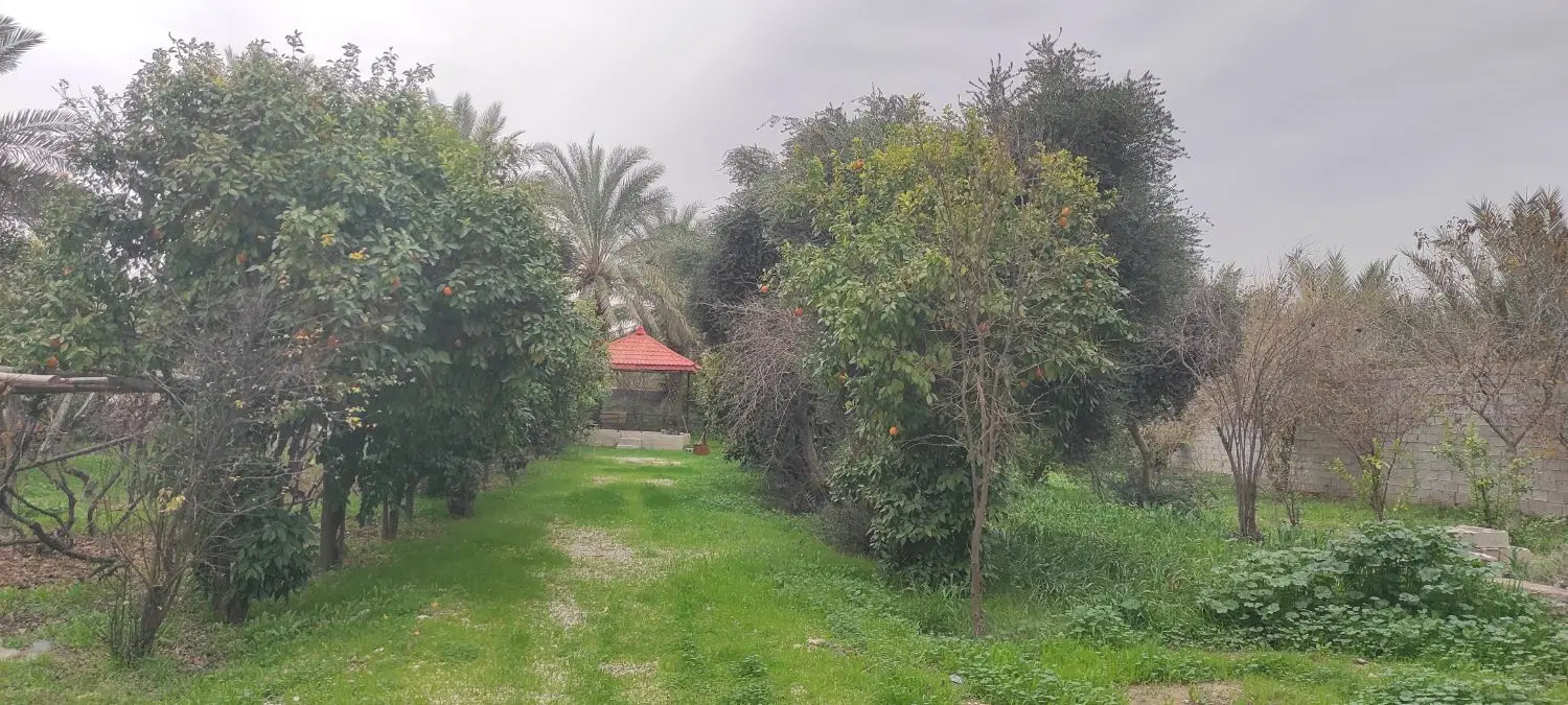 فروش باغ با سند تک برگ