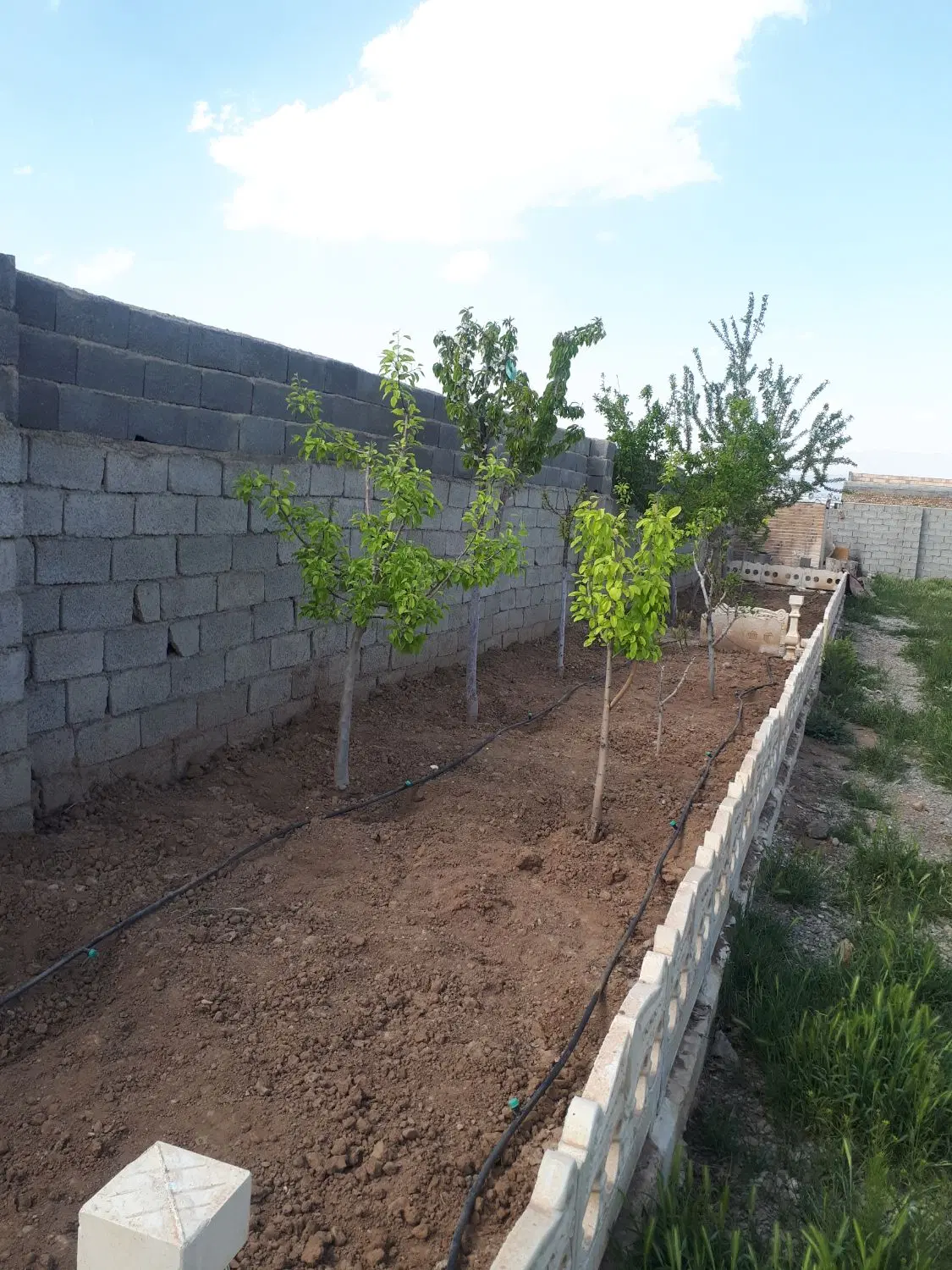 باغچه