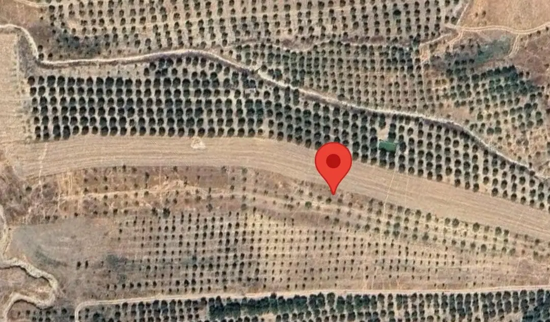 زمین