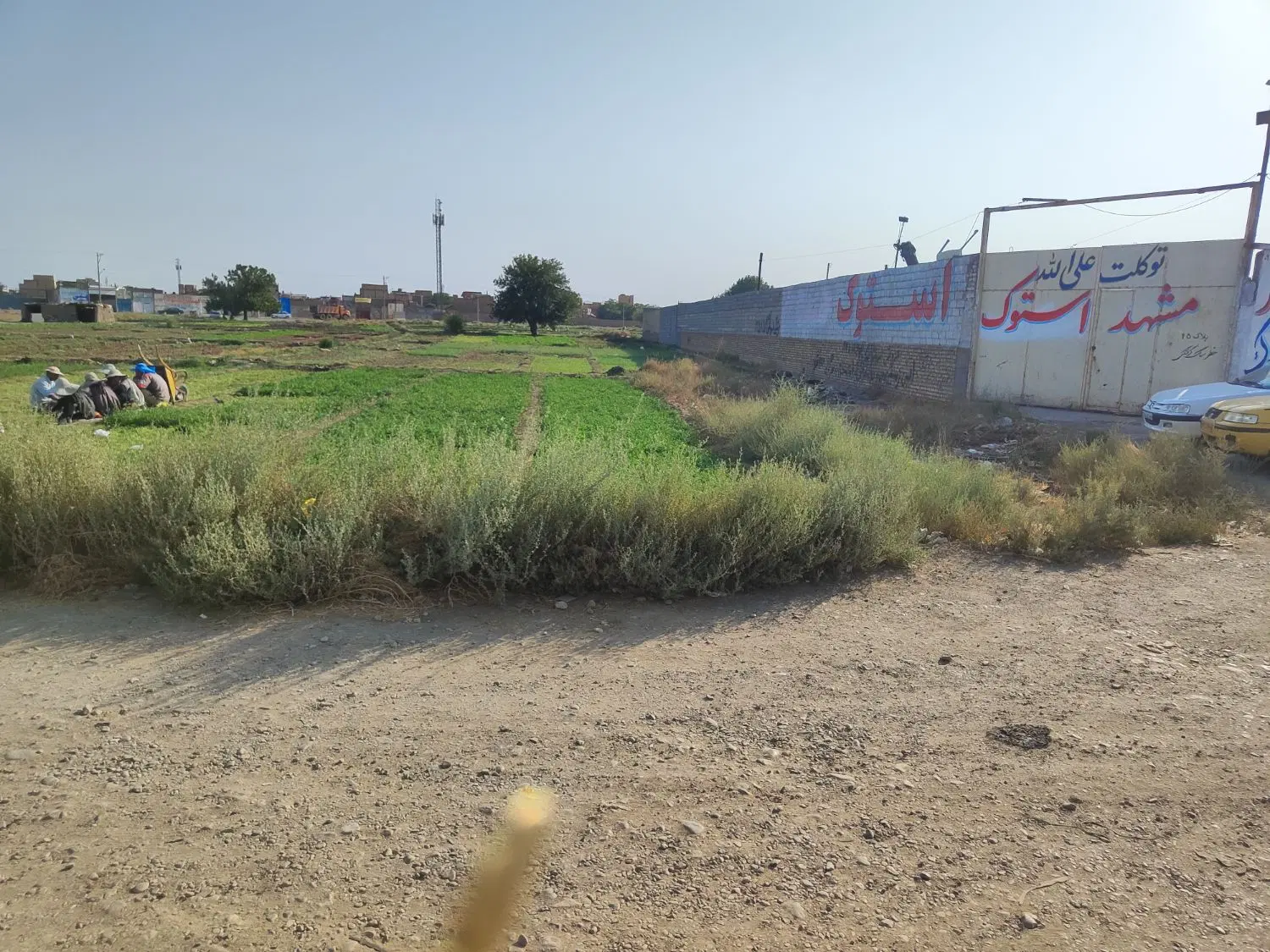 زمین حاشیه مفتح شرقی (بلوار میامی)