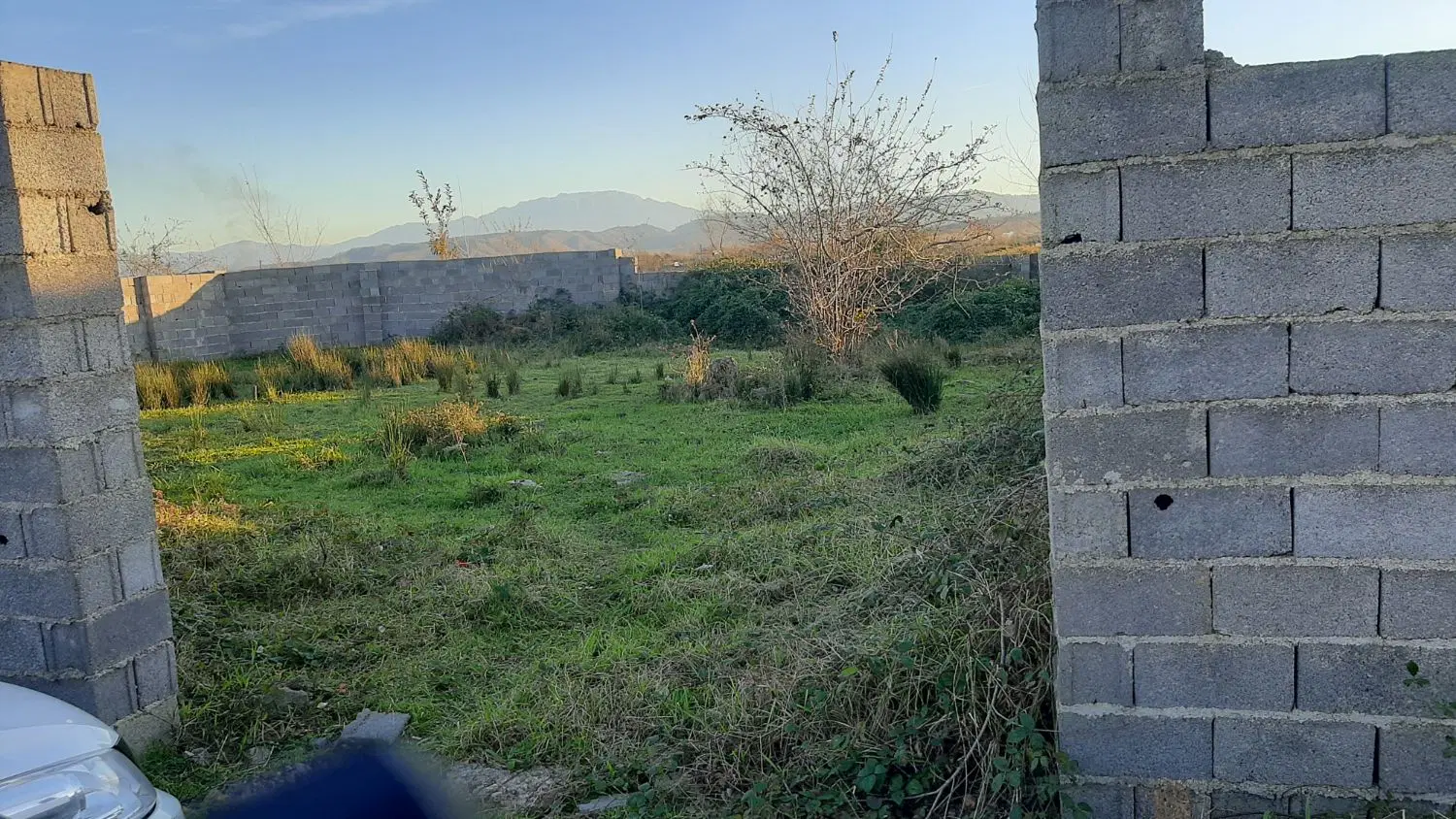 زمین 300متری