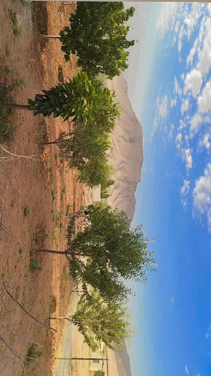 ویلایی ۵۰۰متری با خونه در منطقه گردشگری