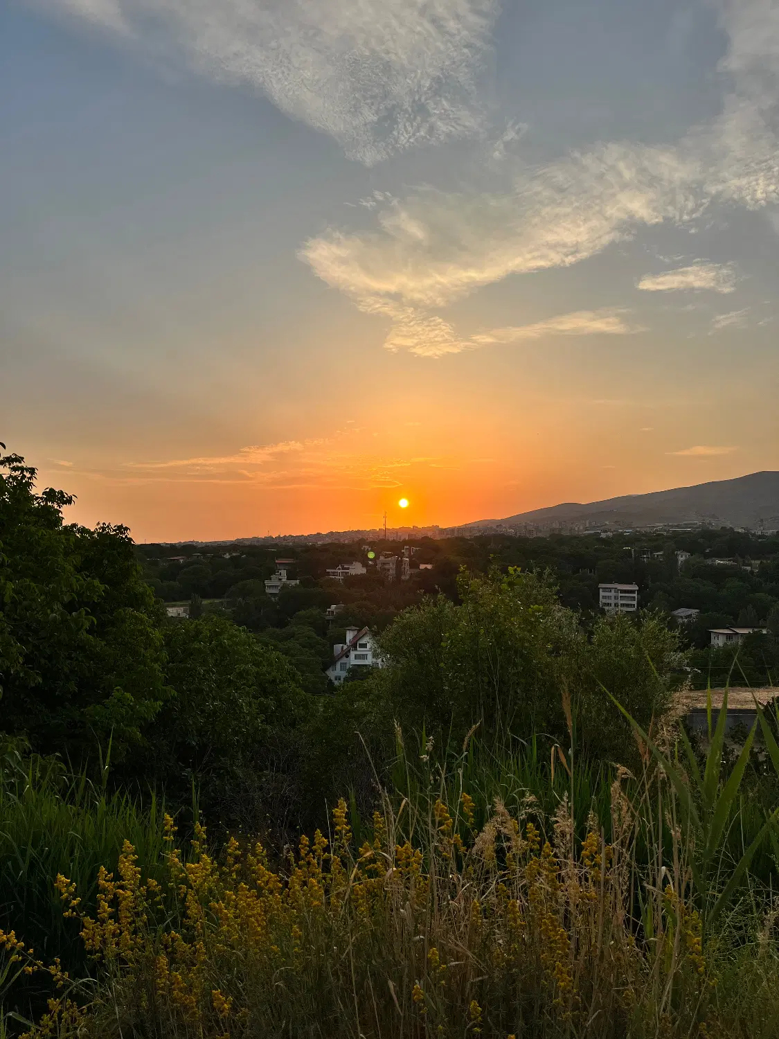 ۱۲۰۰ متر کرشت نزدیک شنهای طلایی