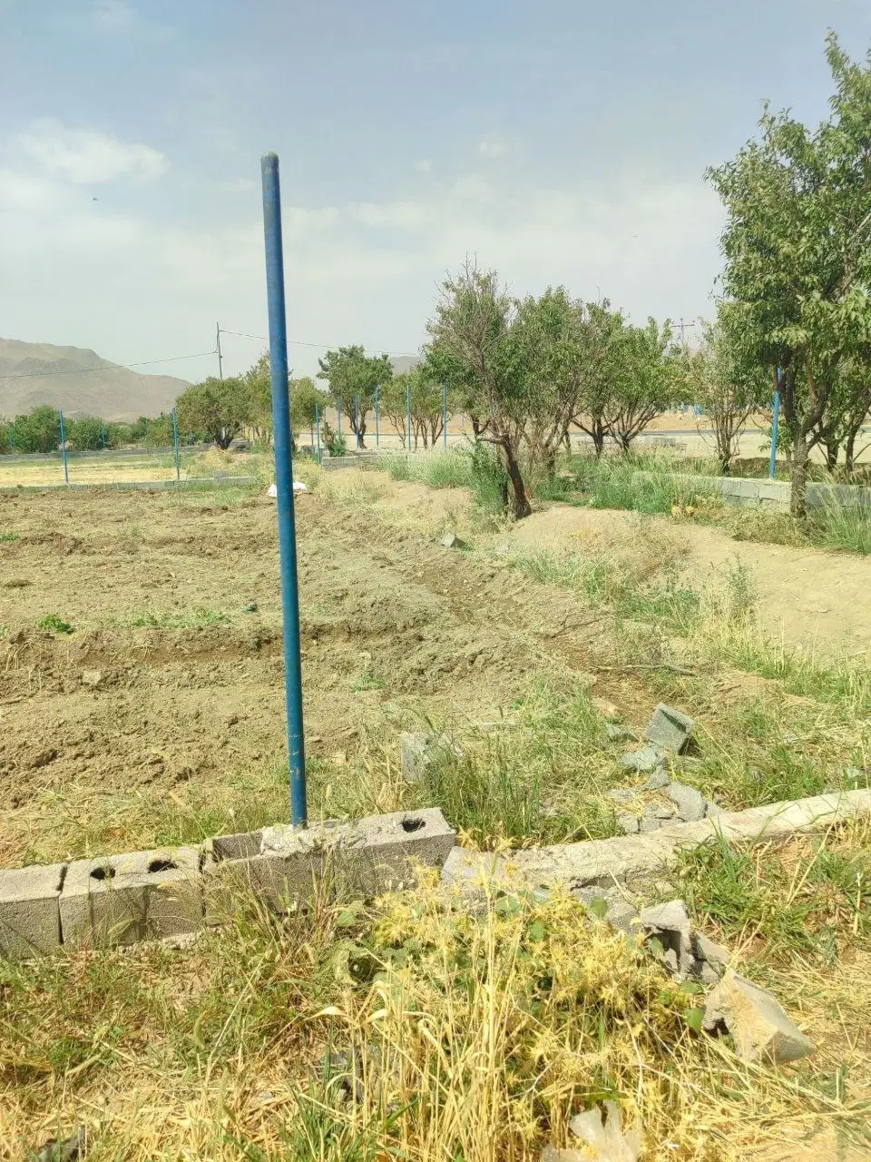 فروش زمین کشاورزی