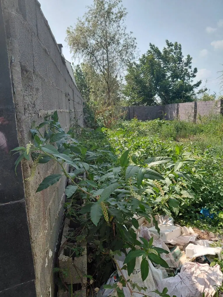زمین مسکونی باپروانه چپرپردزمان