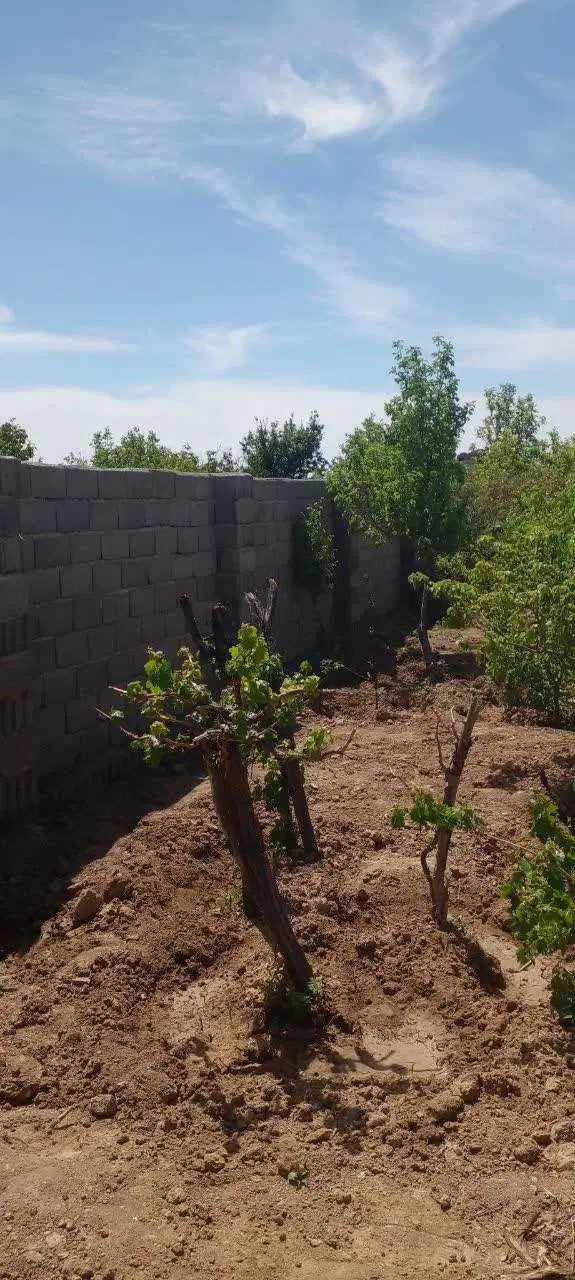باغچه فروشی