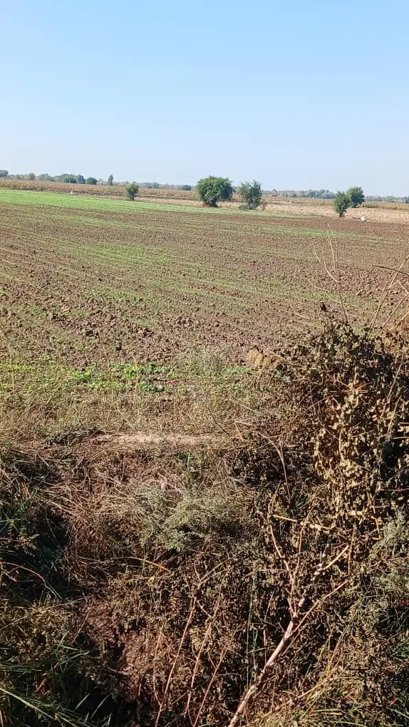 ۵ هکتار زمین کشاورزی