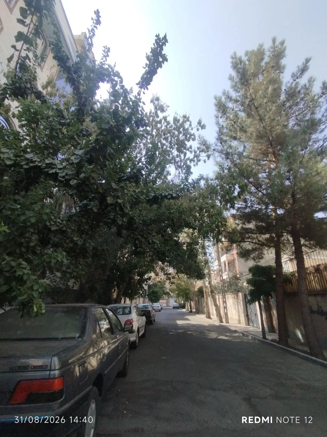 520 متر ملک کلنگی با بر ۲۰ تهاتری با واحد سند دار