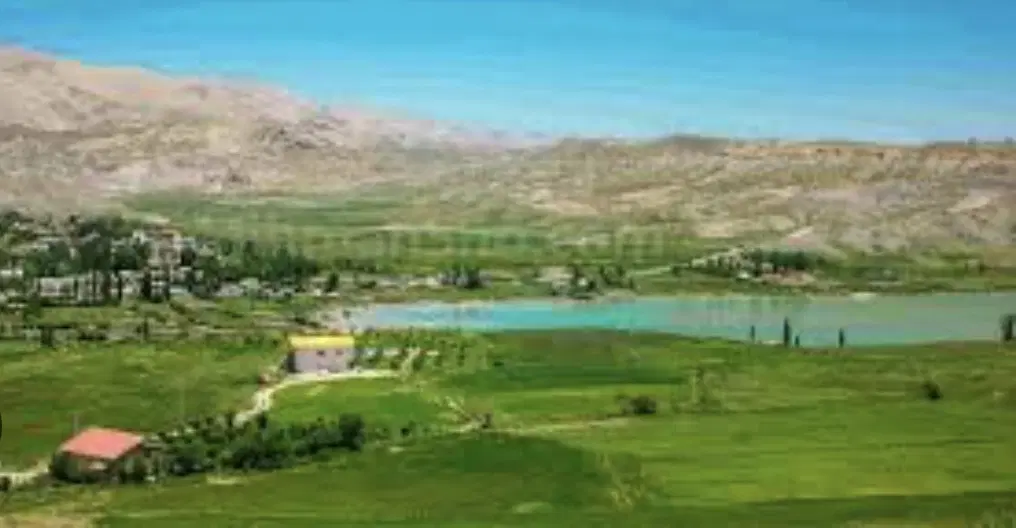 زمین سله بن