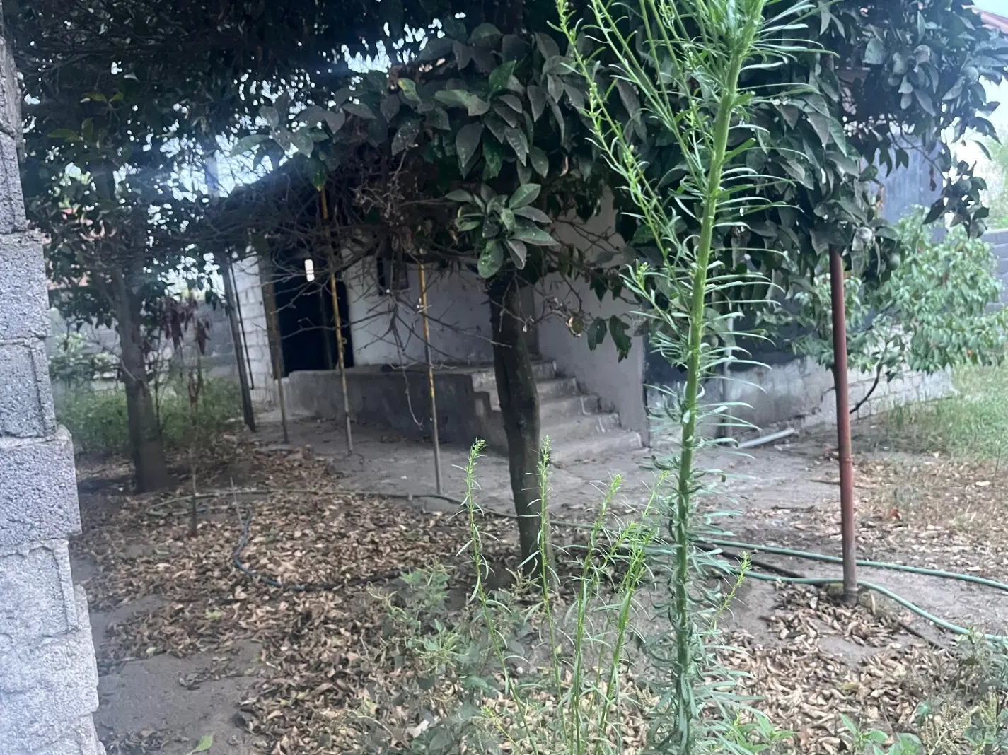 زمین ۲۳۰ متری