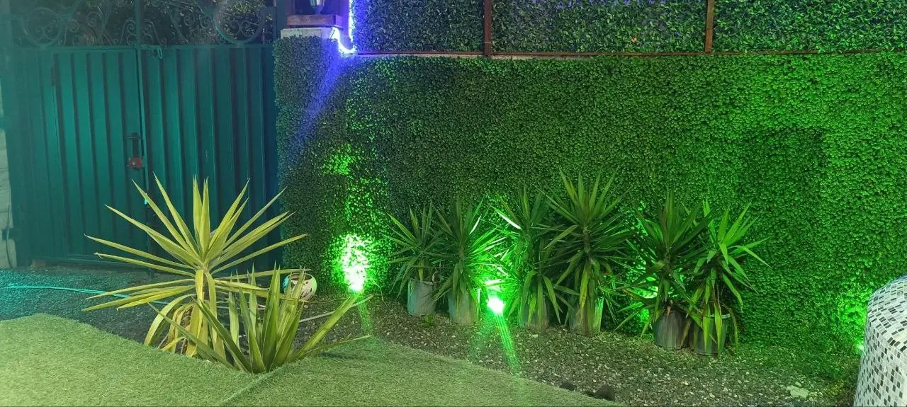 اجاره سوئیسی رامسر