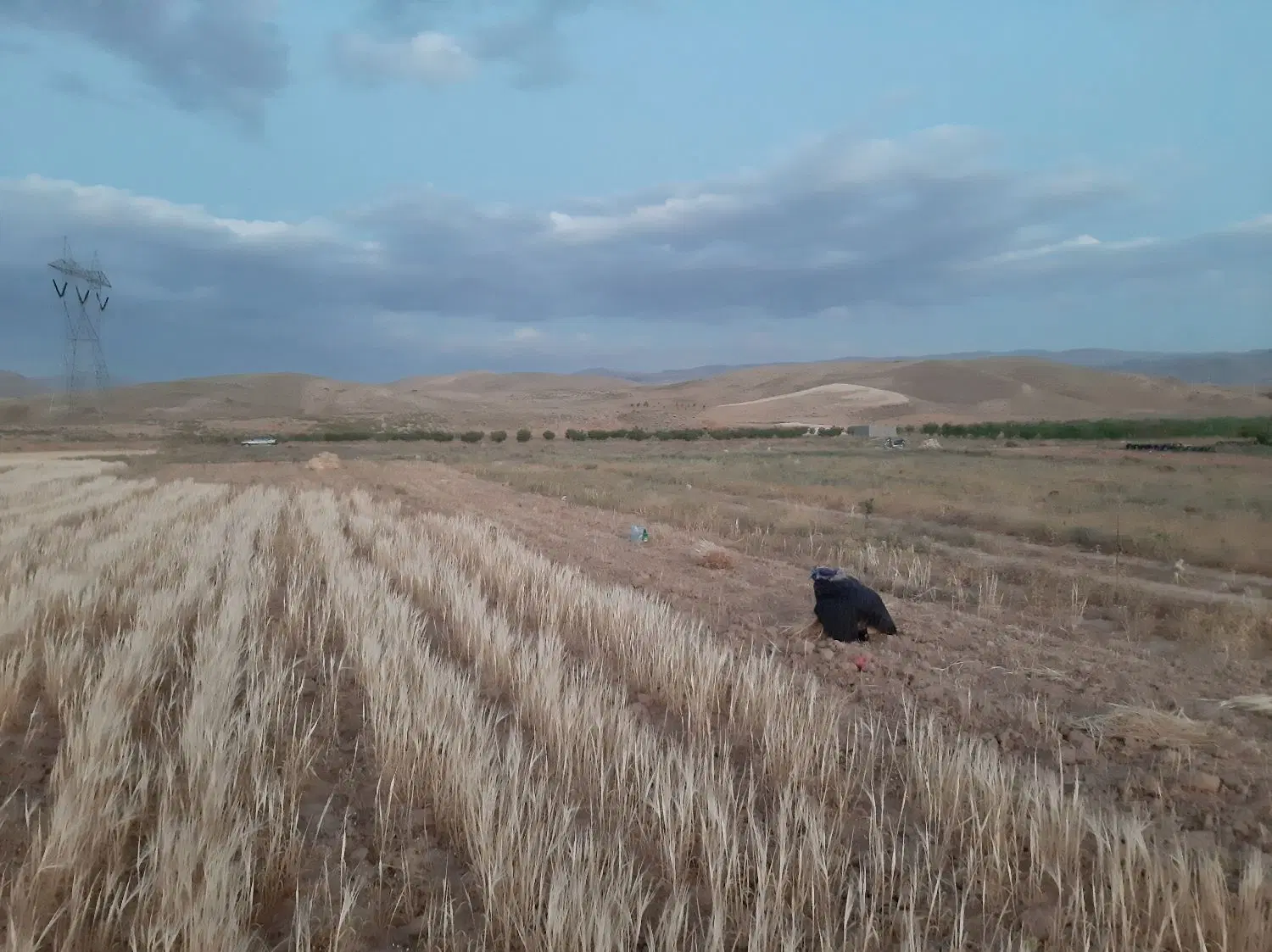 فروش زمین کشاورزی سند شش دانگ دفترچه ای