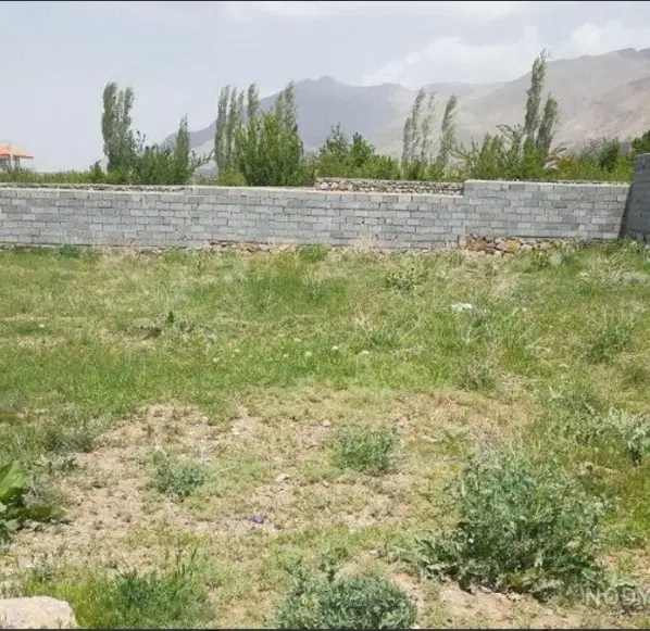زمین باغی