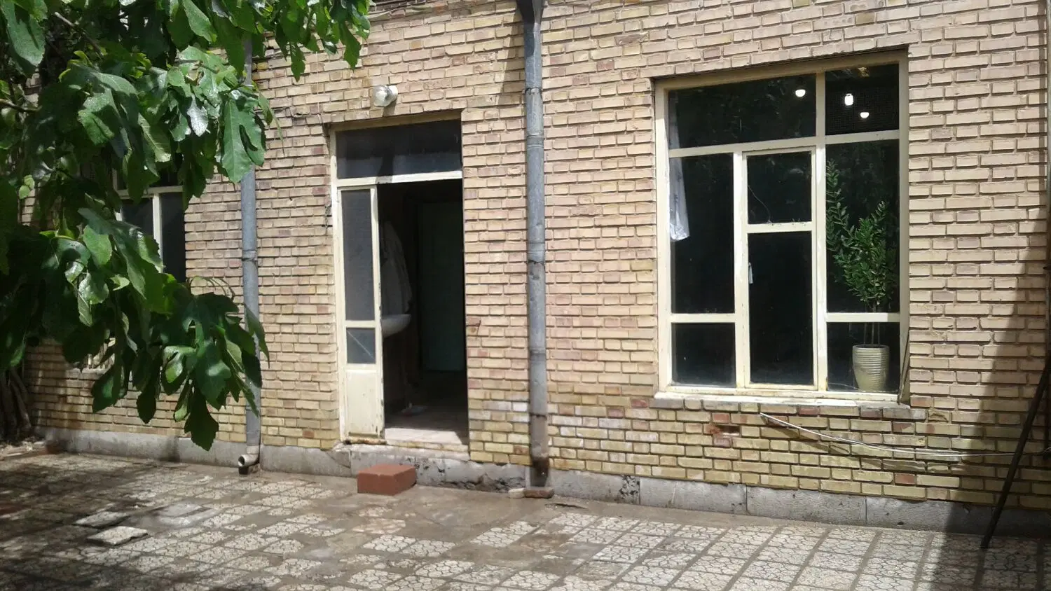 حیاط مسکونی خیابان فلسطین
