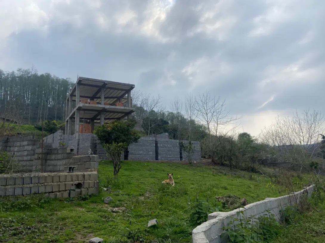 زمین مسکونی سوادکوه  شیرگاه کلیج خیل