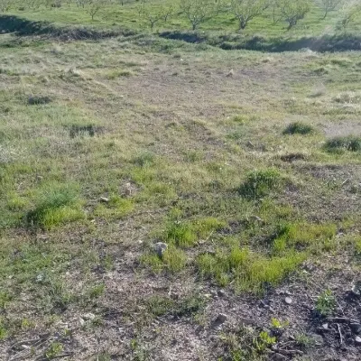 کنار زمین‌های بسیجیان