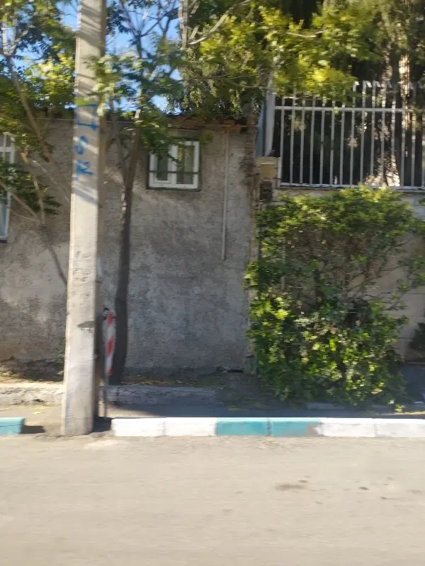 همخونه