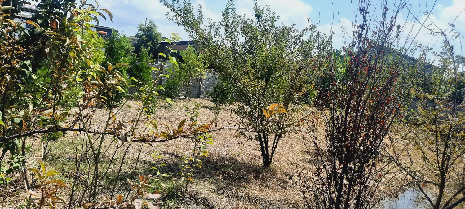 فروش زمین مناسب ساخت ویلای شیک با بر عالی