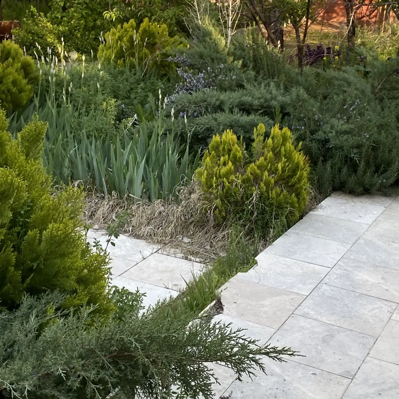 اجاره سالانه باعث ویلایی موقعیت عالی به خانواده