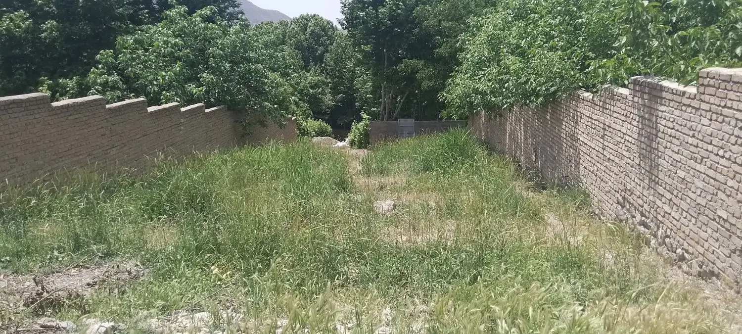 زمین باغی مسکونی