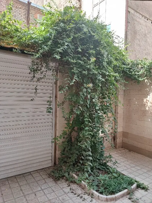 تک واحدی 79 متری نقلی محدوده ابن یمین بهار