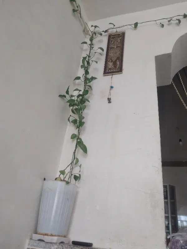 خانه ۶۳ متری شیک خیابان امام فلکه علی کوچه زمزم
