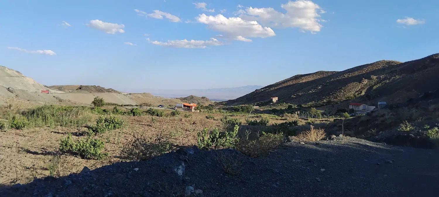 باغ و زمین انگور